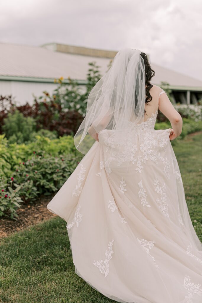 Brides veil 													